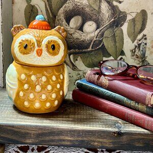 Earthenware Ceramic Owl Jar with Beanie Hat  -